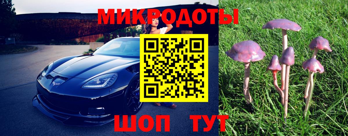 купить наркотик  Вход с VPN  Тольятти  Псилоцибиновые грибы мицелий 